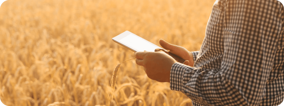 Contatos Agro